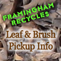 Framingham Leaf and Brush Pickup, Recycle Info