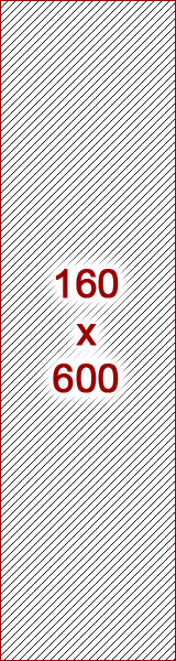 160x600 ad size example