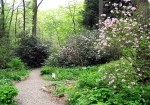 Garden in the Woods, Framingham, MA