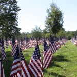 Some of the nearly 3000 flags placed in the September 11th Living Memorial at Cushing Memorial Park, Framingham, MA