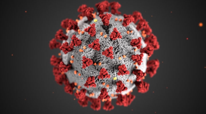 illustration of a Covid 19 virus particle